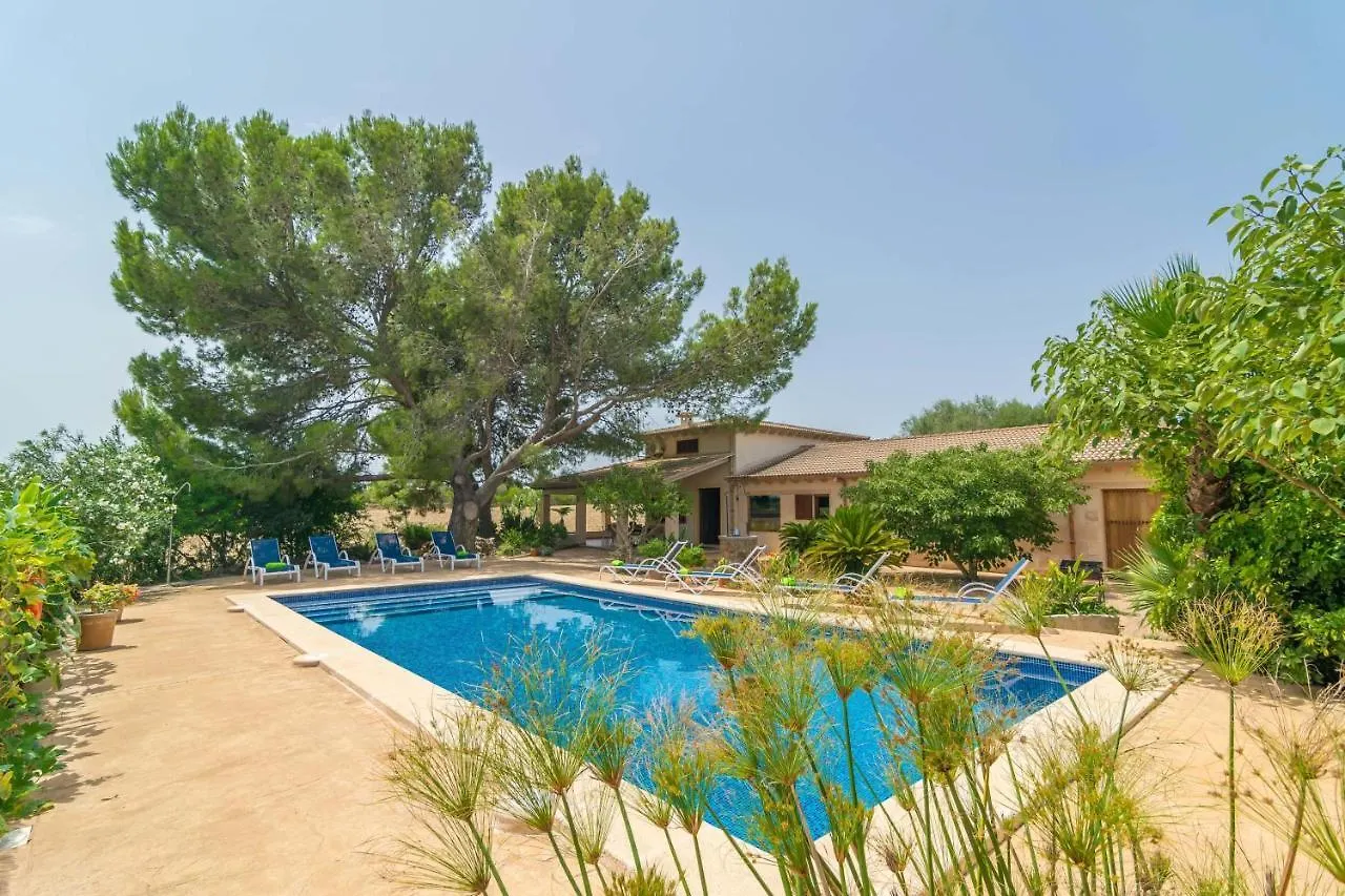 Can Ribas Can Picafort  Can Picafort (Mallorca)